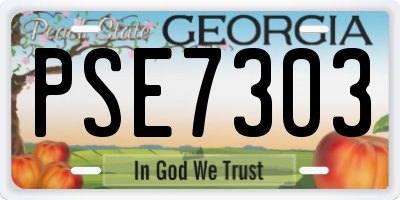 GA license plate PSE7303