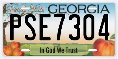 GA license plate PSE7304