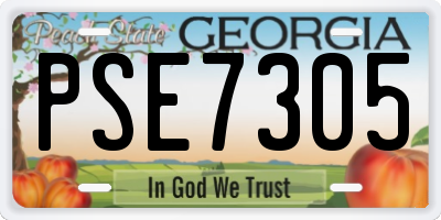 GA license plate PSE7305