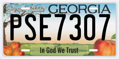 GA license plate PSE7307