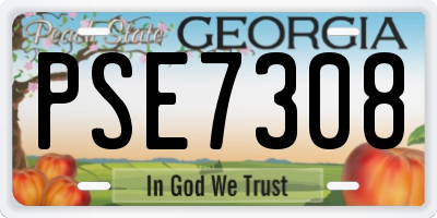 GA license plate PSE7308