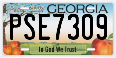 GA license plate PSE7309