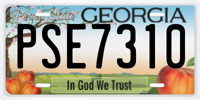 GA license plate PSE7310