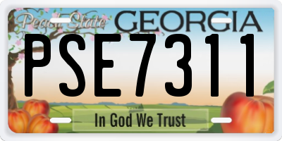GA license plate PSE7311