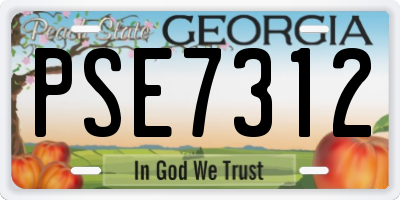 GA license plate PSE7312