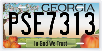 GA license plate PSE7313