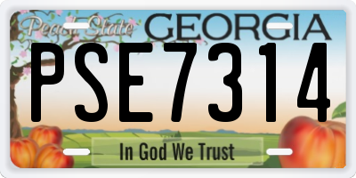 GA license plate PSE7314