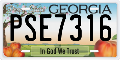 GA license plate PSE7316