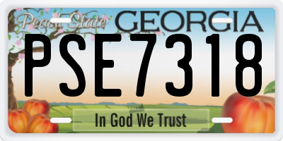 GA license plate PSE7318