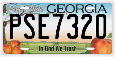 GA license plate PSE7320