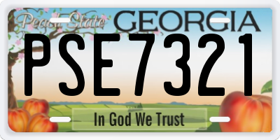 GA license plate PSE7321