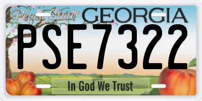 GA license plate PSE7322