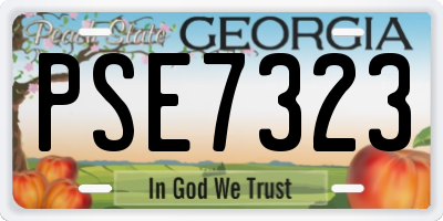GA license plate PSE7323