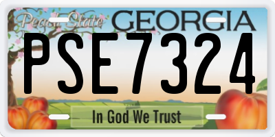 GA license plate PSE7324