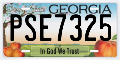 GA license plate PSE7325