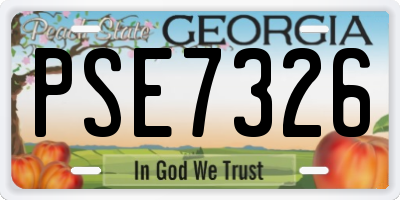GA license plate PSE7326