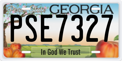GA license plate PSE7327