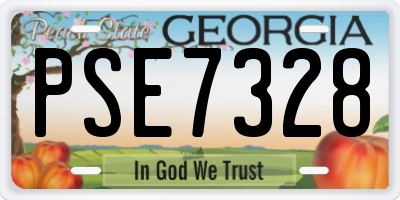GA license plate PSE7328