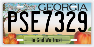GA license plate PSE7329