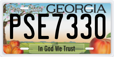 GA license plate PSE7330