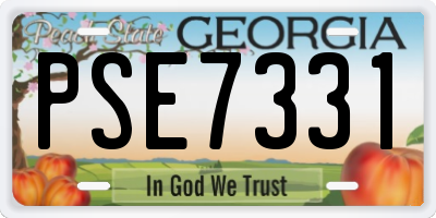 GA license plate PSE7331