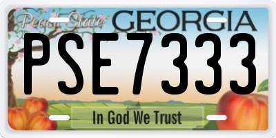 GA license plate PSE7333