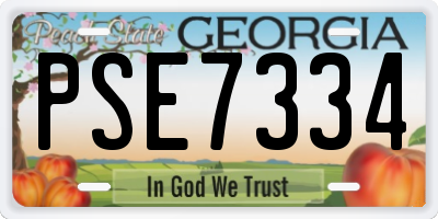 GA license plate PSE7334