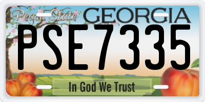 GA license plate PSE7335