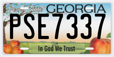 GA license plate PSE7337