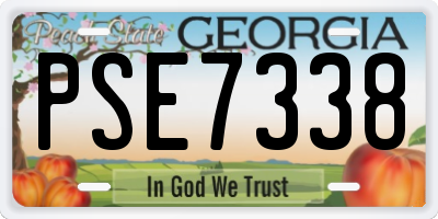 GA license plate PSE7338