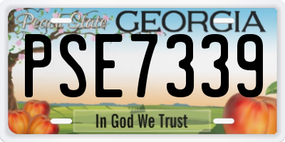 GA license plate PSE7339