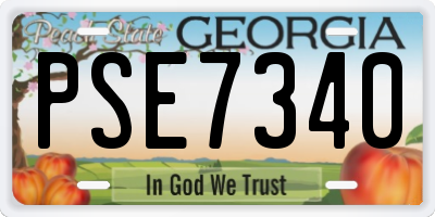 GA license plate PSE7340