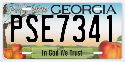GA license plate PSE7341