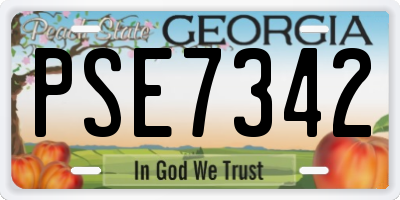GA license plate PSE7342