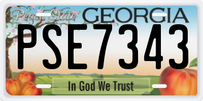 GA license plate PSE7343
