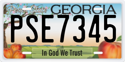 GA license plate PSE7345