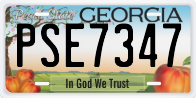 GA license plate PSE7347