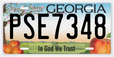 GA license plate PSE7348
