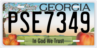 GA license plate PSE7349