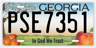 GA license plate PSE7351