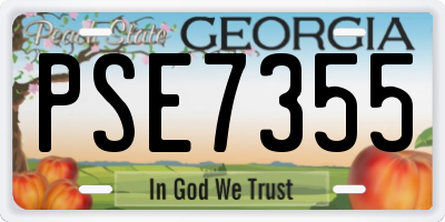 GA license plate PSE7355