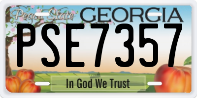 GA license plate PSE7357
