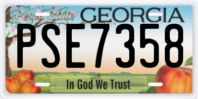 GA license plate PSE7358