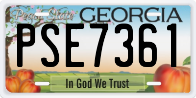 GA license plate PSE7361