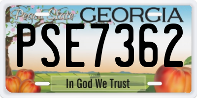 GA license plate PSE7362
