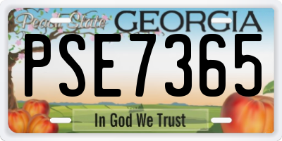 GA license plate PSE7365