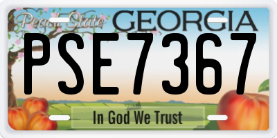 GA license plate PSE7367