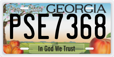 GA license plate PSE7368