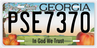 GA license plate PSE7370
