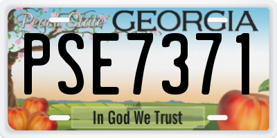 GA license plate PSE7371